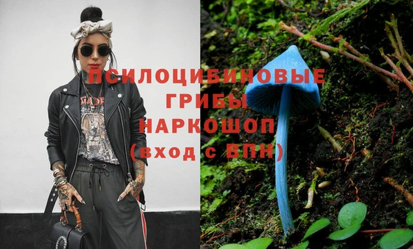 гидропоника Бронницы
